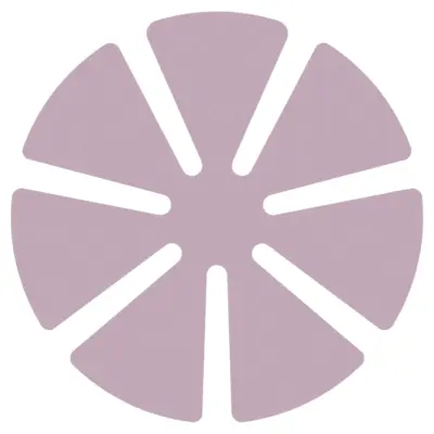 Lixa Trevo Pink Pad