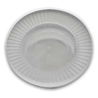Silicone Maior