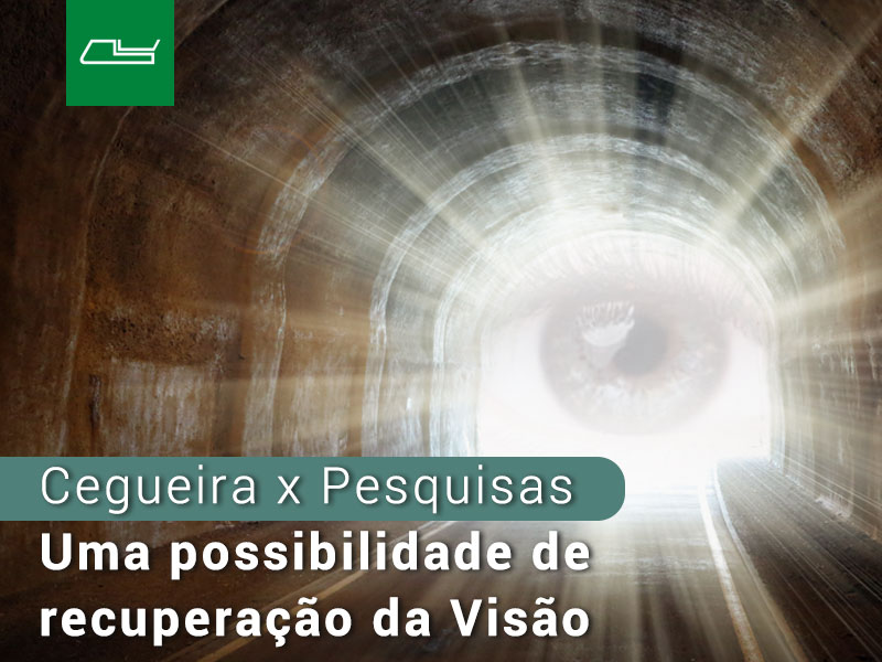 Read more about the article Cegueira x Pesquisas: A recuperação da Visão
