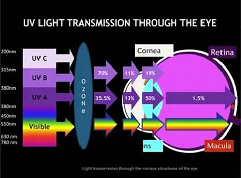 A imagem ilustra os comprimentos de onda de diferentes tipos de luz